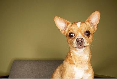 爆料者称R星目前开发的新作品只有《GTA6》